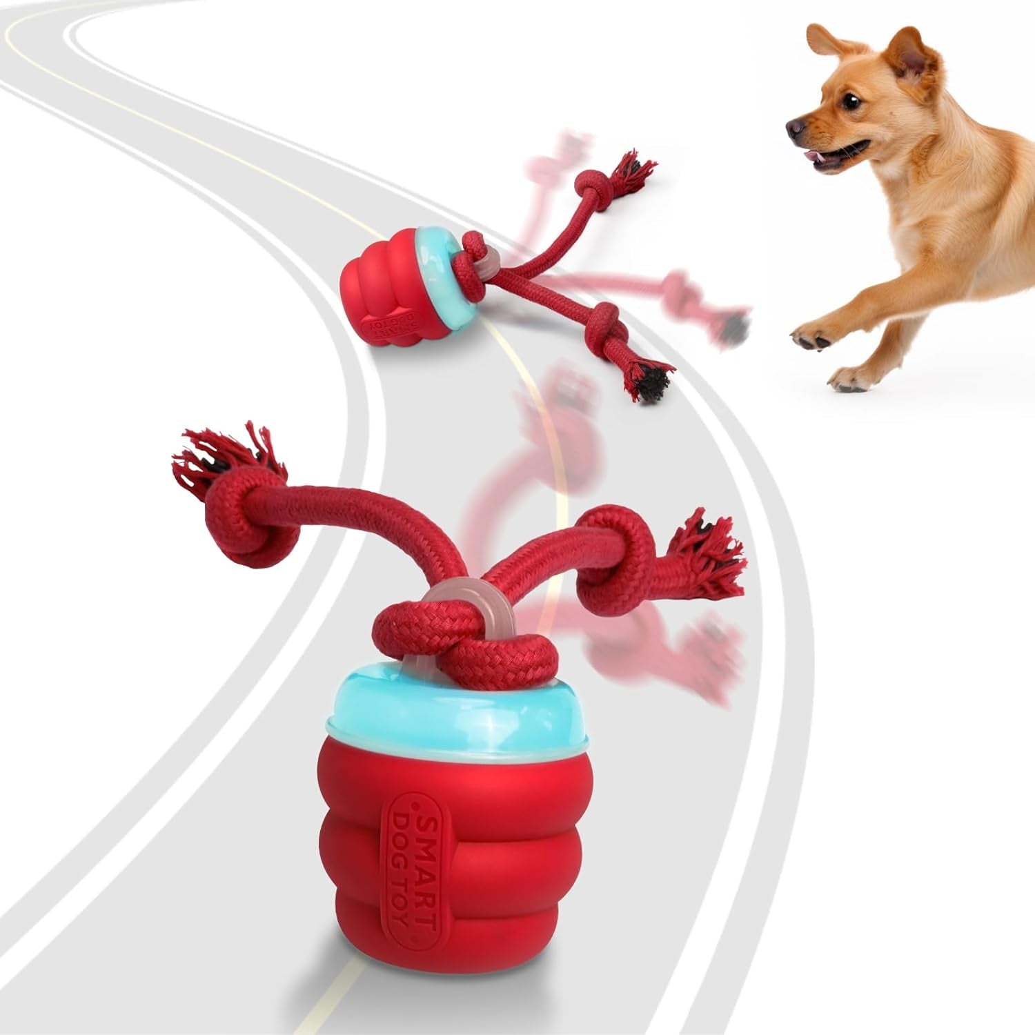 Activation ball dog toy best sale