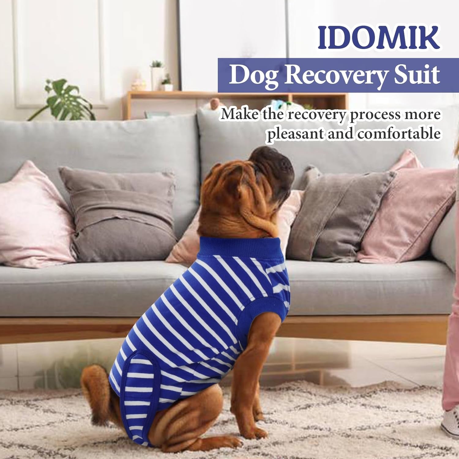 Dog Recovery Suit after Surgery,Breathable Dog Surgery Recovery Suit for Female Male Dogs Cats,Dog Surgical Onesie for Spay Neuter Surgery,E-Collar Cone Alternative Anti-Licking Abdominal Wound