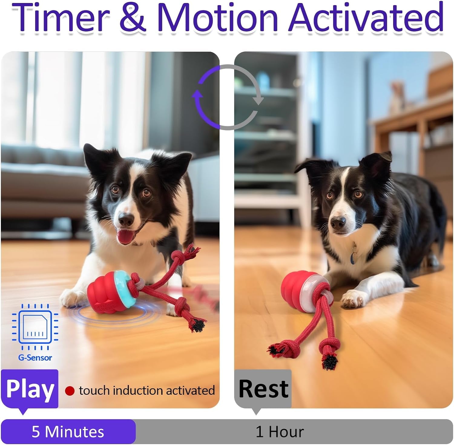 Motion activated ball for dogs hotsell